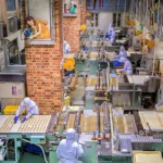 Cost-Effective Strategies for Designing Functional Food Production Spaces