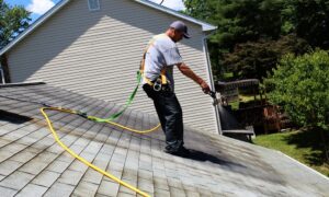 How One Homeowner Saved Thousands with Combined Gutter Cleaning and Pressure Washing